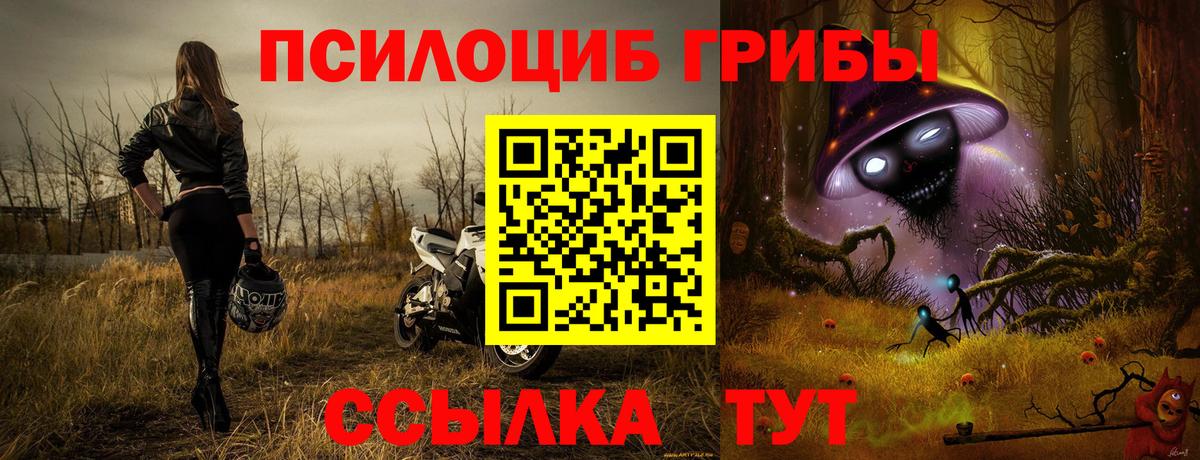 Псилоцибиновые грибы MAGIC MUSHROOMS Сибай